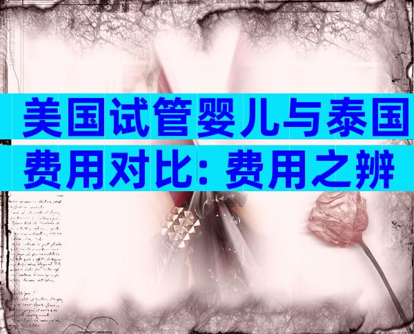 美国试管婴儿与泰国费用对比: 费用之辨